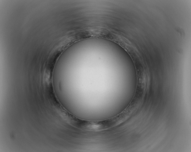 X0000113870610200910081728