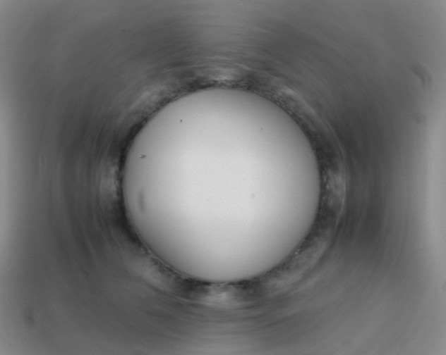 X0000113870612200910081728