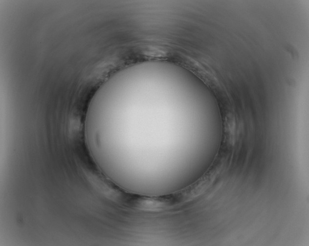 X0000113870614200910081728