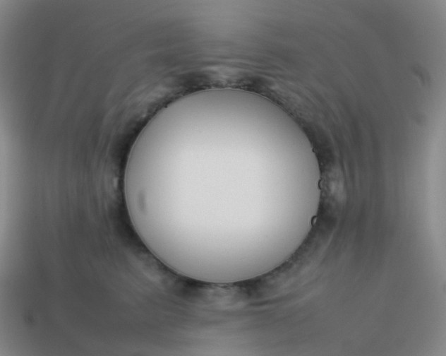 X0000113870615200910081728