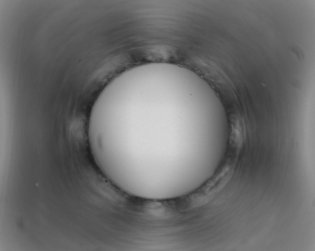 X0000113870616200910081728