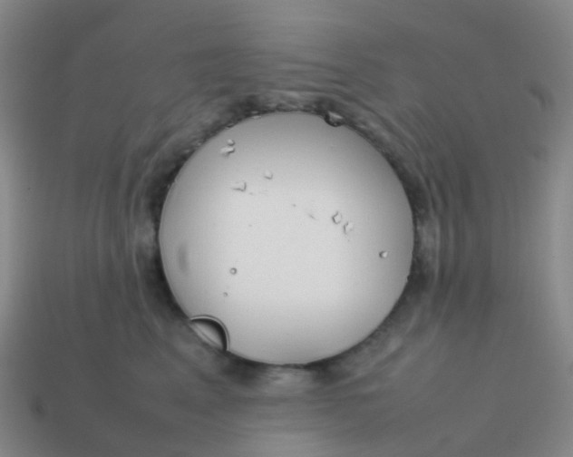 X0000113870617200910081728