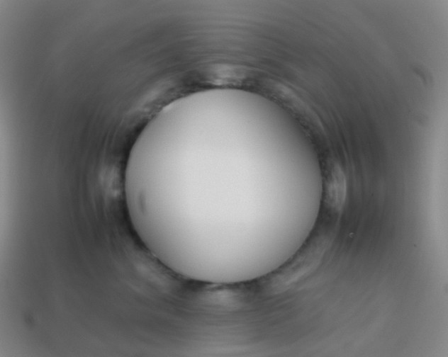 X0000113870620200910081728