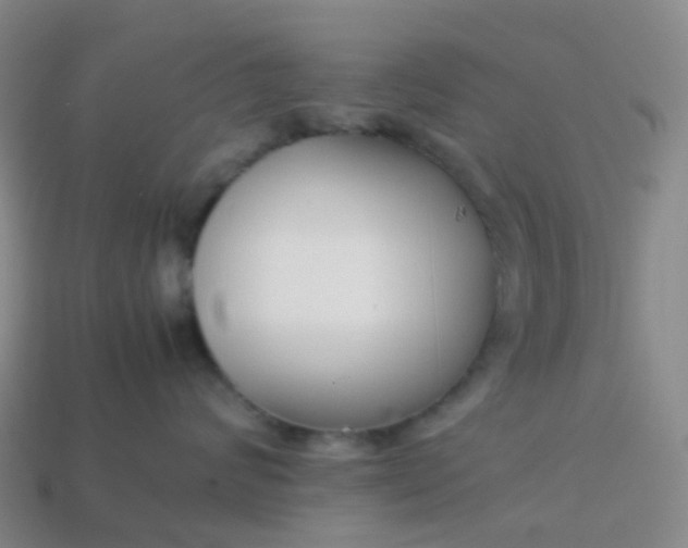 X0000113870624200910081728