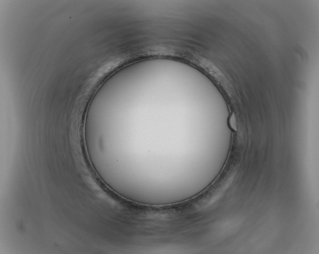 X0000113870625200910081727