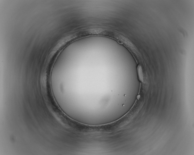 X0000113870626200910081727