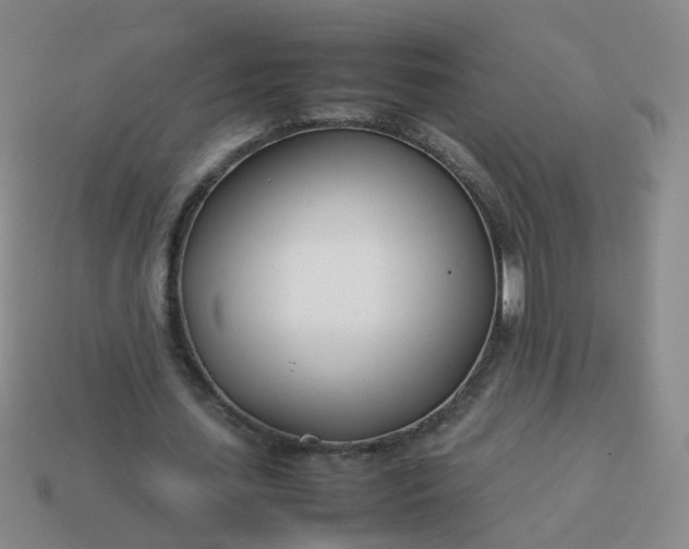 X0000113870627200910081727