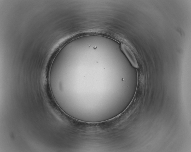 X0000113870628200910081727