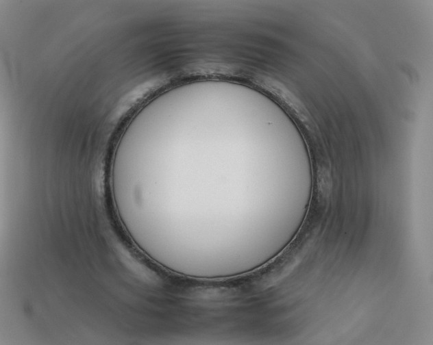 X0000113870629200910081727