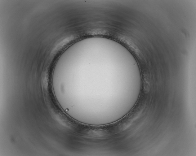 X0000113870631200910081727