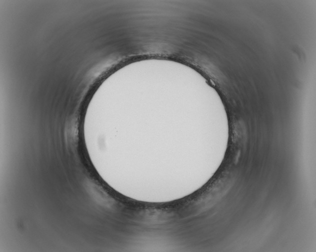 X0000113870632200910081727