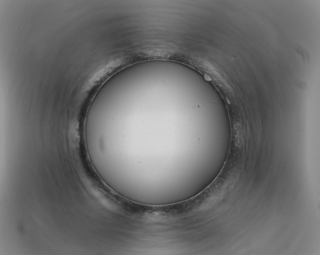 X0000113870634200910081727