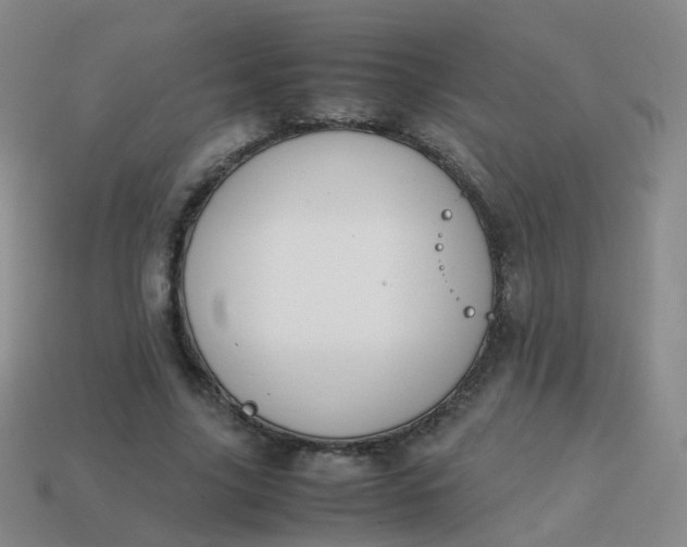 X0000113870635200910081727