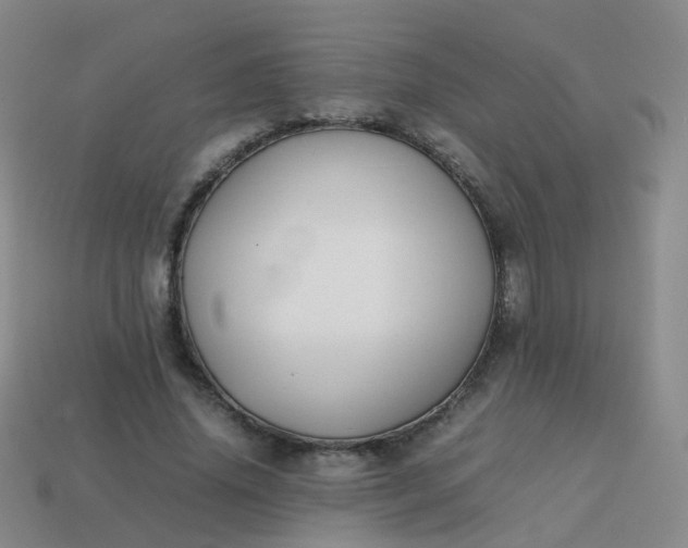 X0000113870636200910081727