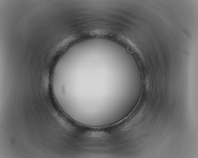 X0000113870637200910081727