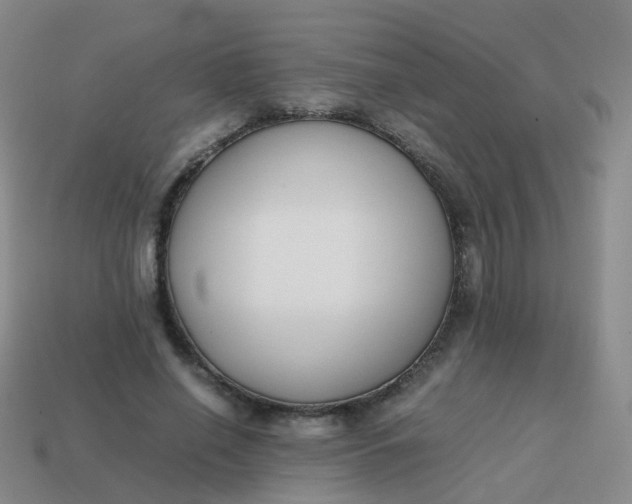 X0000113870638200910081727