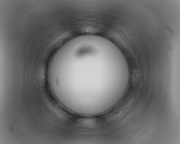 X0000113870639200910081727