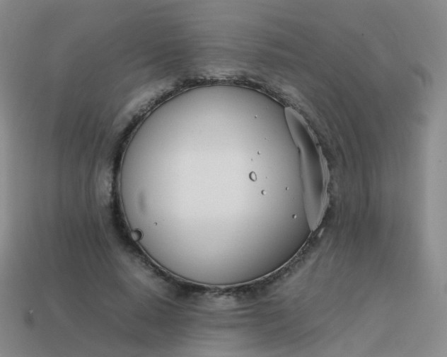 X0000113870640200910081727