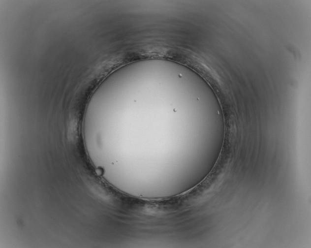 X0000113870641200910081727