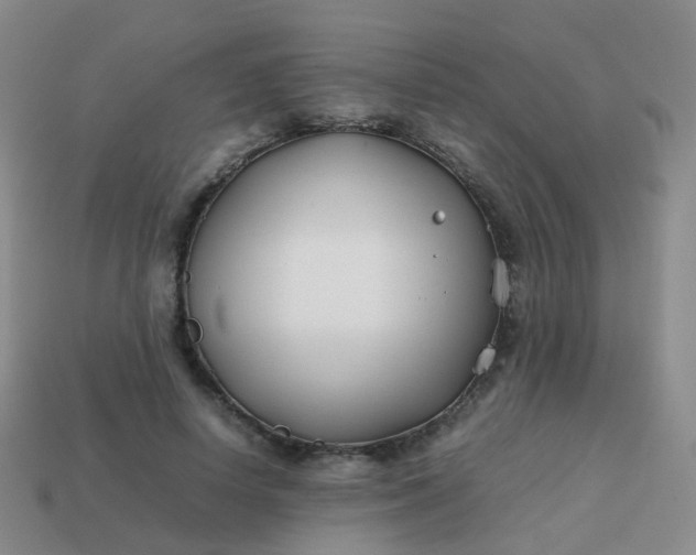 X0000113870642200910081727