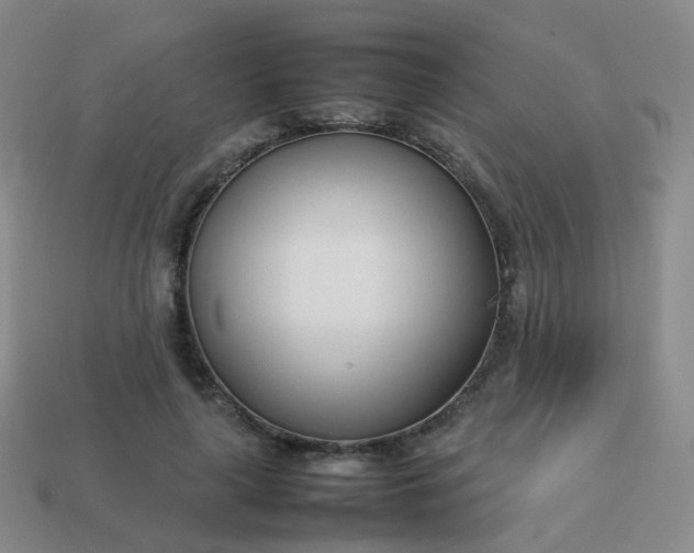 X0000113870643200910081728