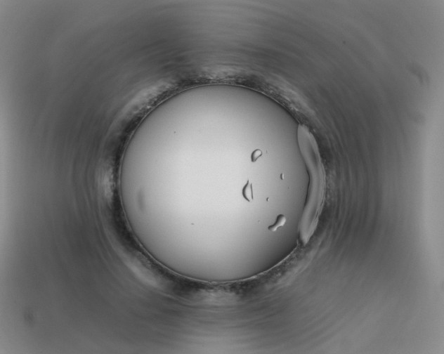 X0000113870644200910081728