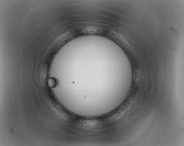 X0000113870645200910081728