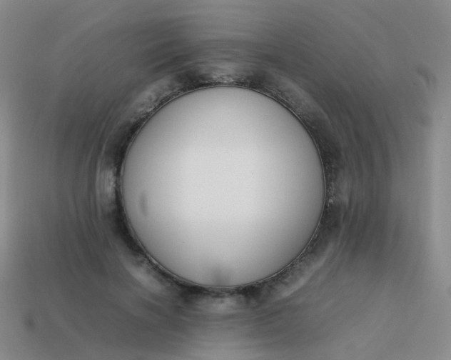 X0000113870646200910081728