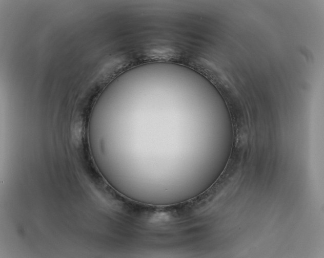 X0000113870647200910081728