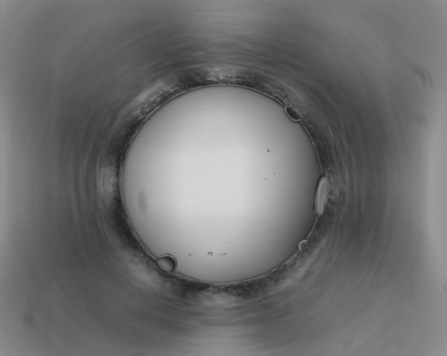 X0000113870648200910081728