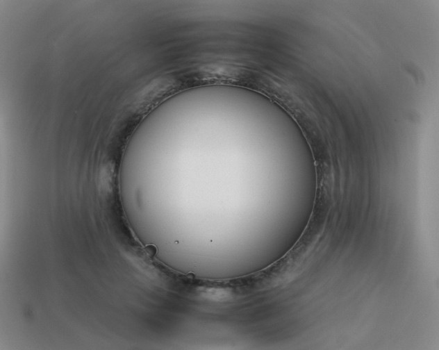 X0000113870649200910081728