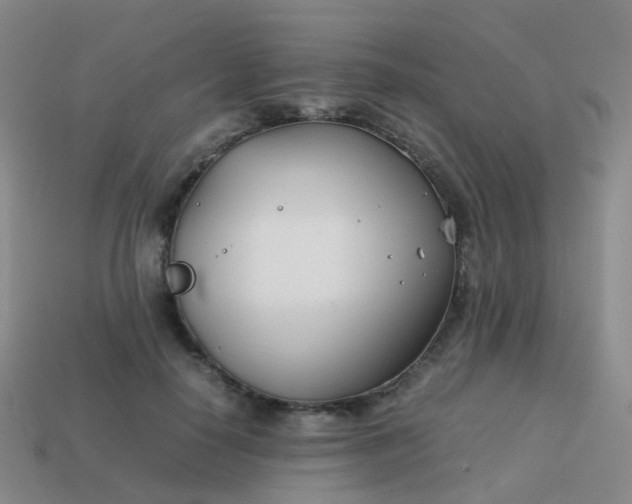 X0000113870650200910081728