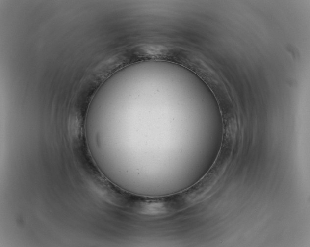 X0000113870651200910081728