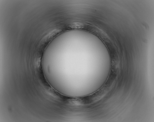 X0000113870652200910081728