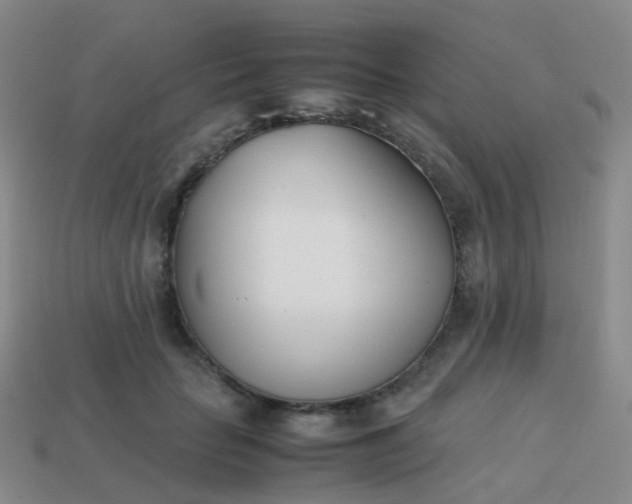 X0000113870653200910081728