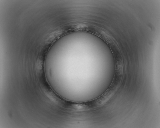 X0000113870654200910081728