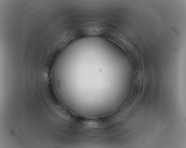 X0000113870655200910081728