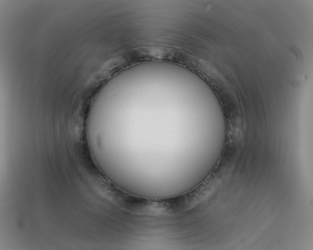 X0000113870656200910081728