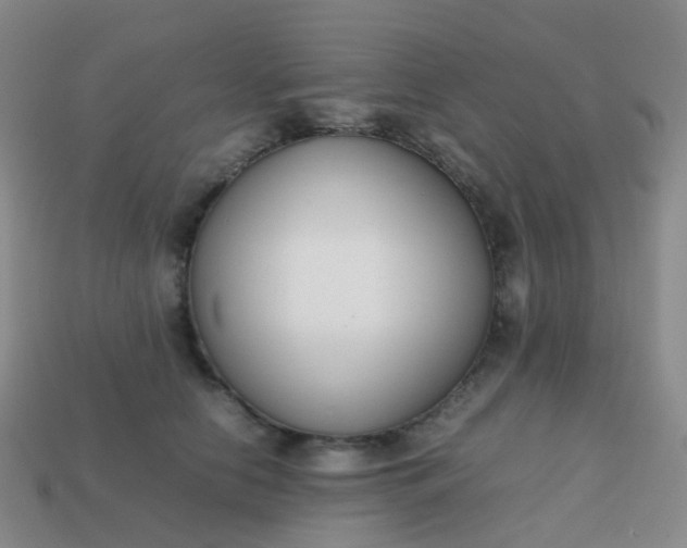 X0000113870658200910081728