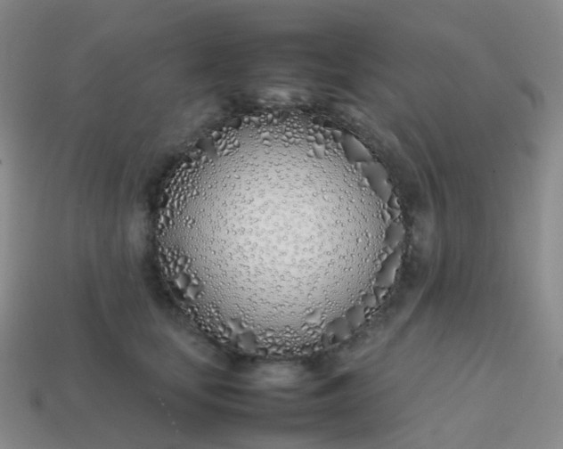 X0000113870659200910081728