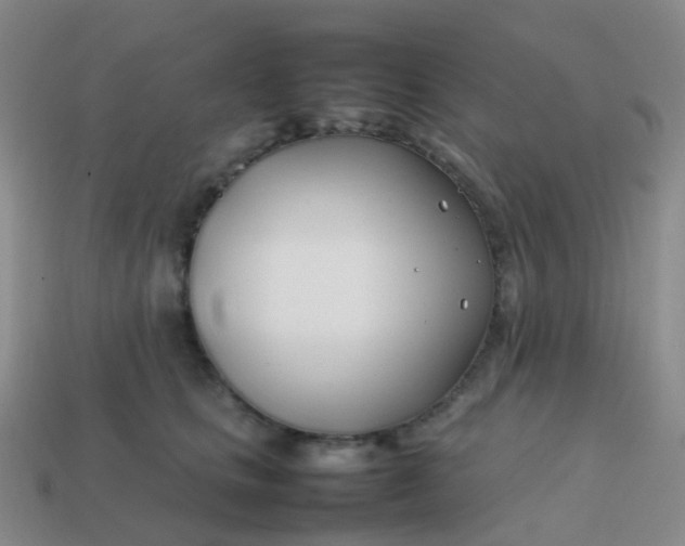 X0000113870661200910081728