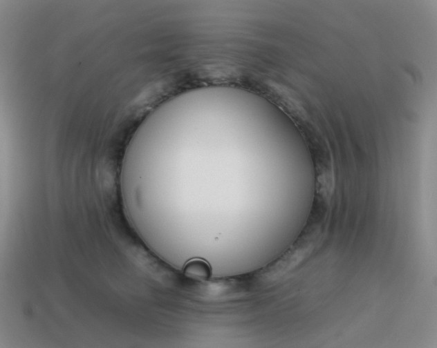 X0000113870662200910081728