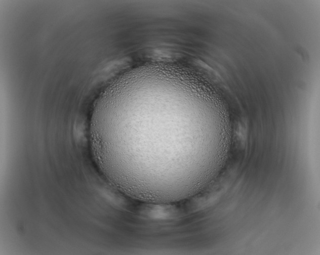 X0000113870663200910081728