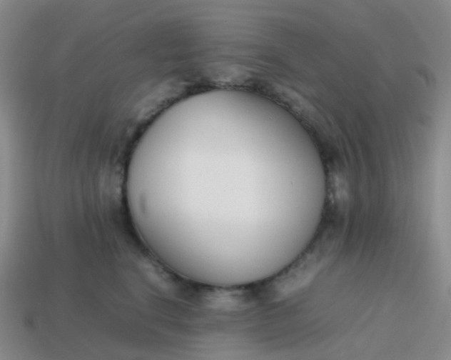 X0000113870664200910081728