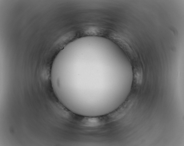 X0000113870665200910081728