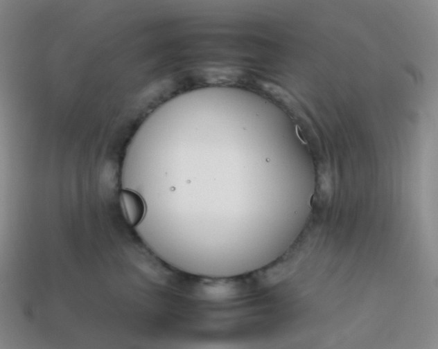 X0000113870667200910081728