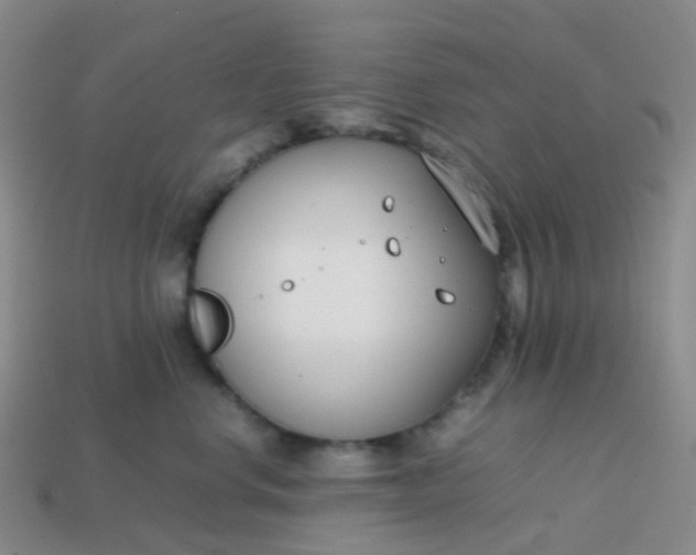 X0000113870668200910081728