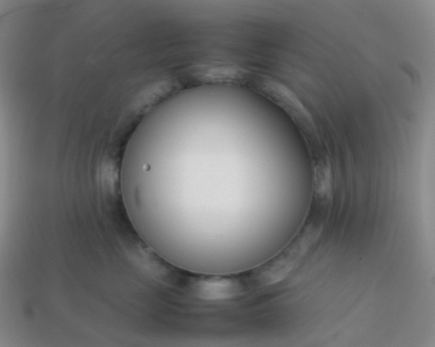 X0000113870669200910081728