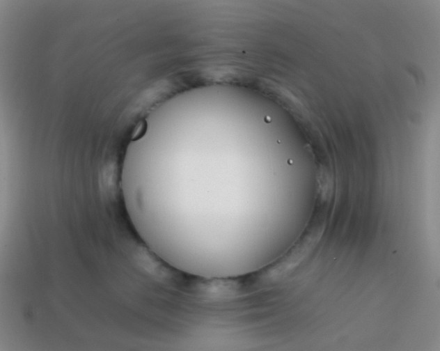 X0000113870670200910081728