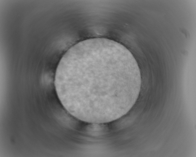 X0000113870672200910081728